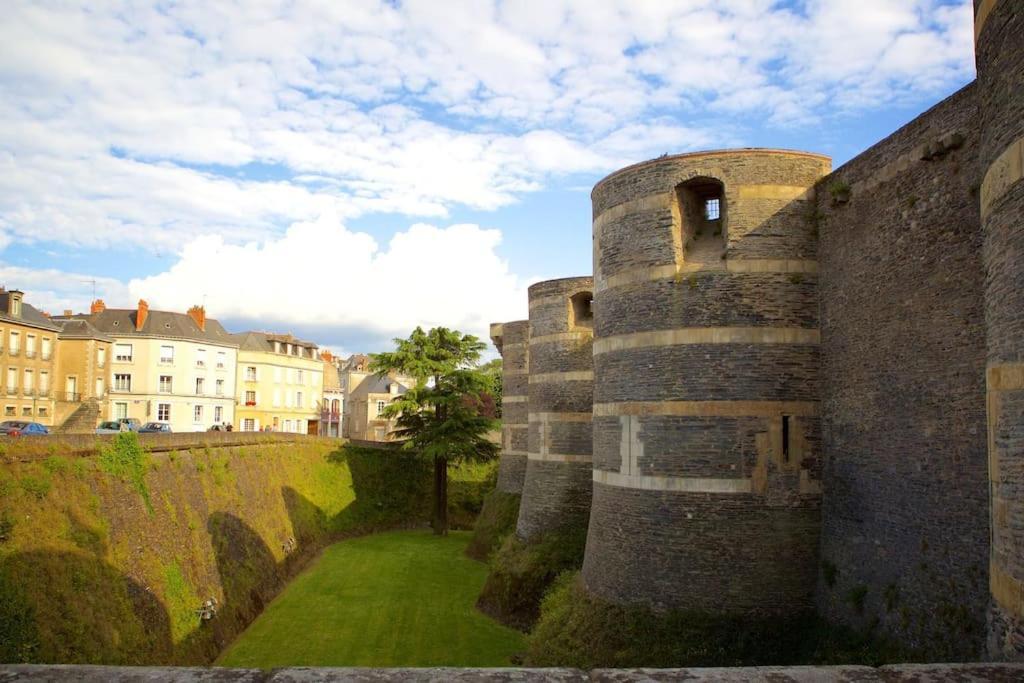 Angers Centre- Gare - Chateau - Duplex 2 Chambres Eksteriør billede