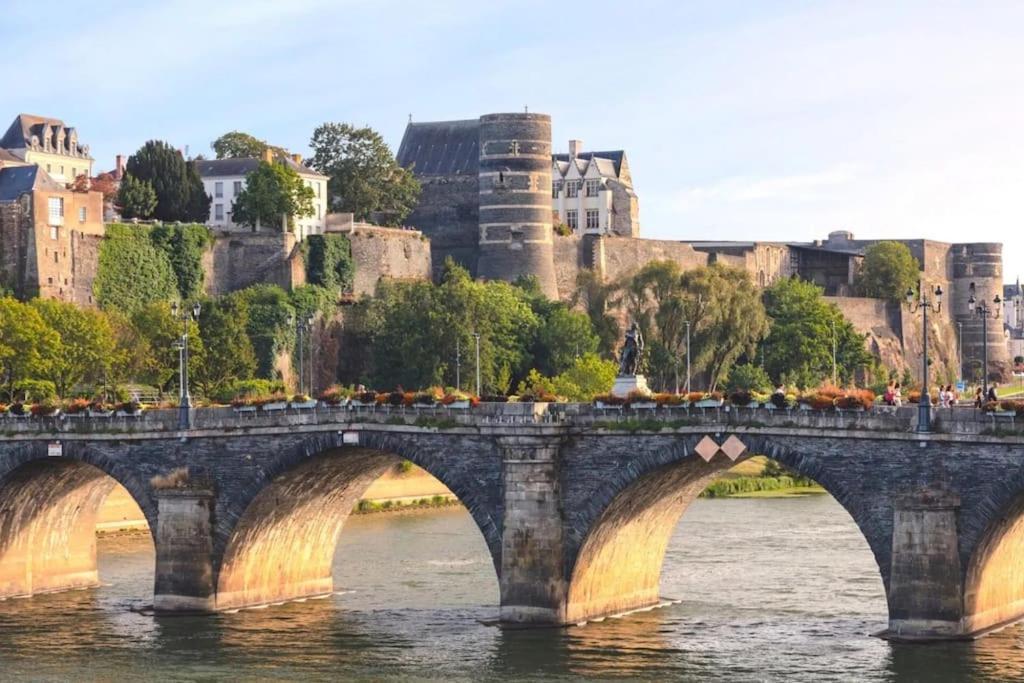 Angers Centre- Gare - Chateau - Duplex 2 Chambres Eksteriør billede